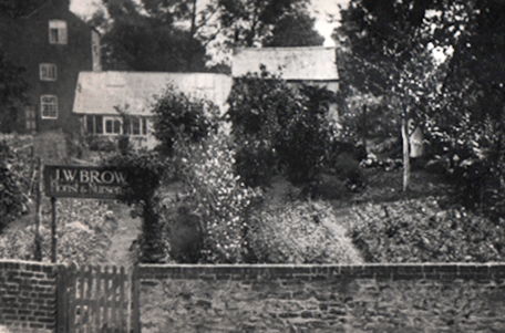 John Brown's Nursery Back Street, Billeson c.1922