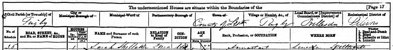 1871 Census - Sarah Shellaker