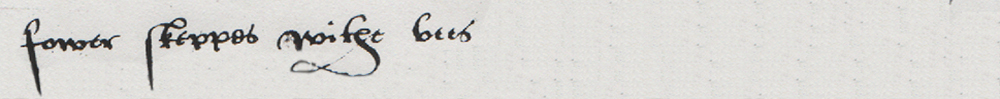 John Shellacres of Leziate 1567 - section 5A